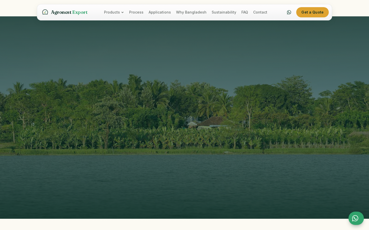 Preview of https://www.agronestexport.com/